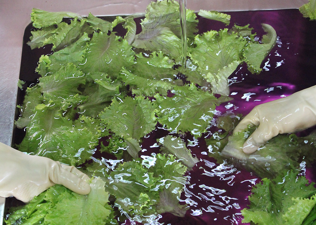 ขั้นตอนในการทำผัก 2